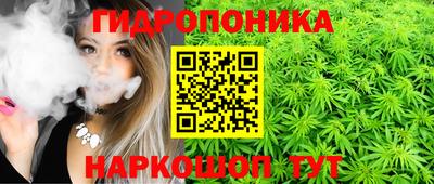 молекула духа Ливны