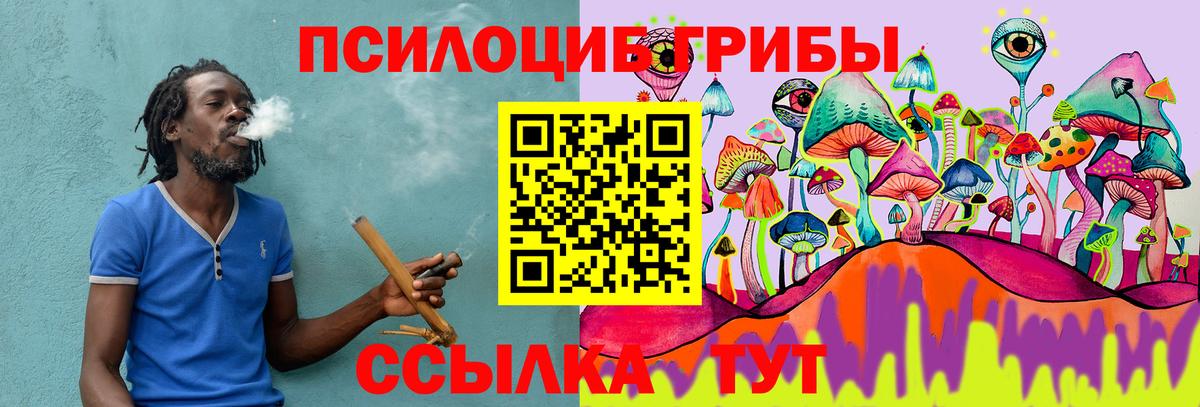 Галлюциногенные грибы прущие грибы Донецк