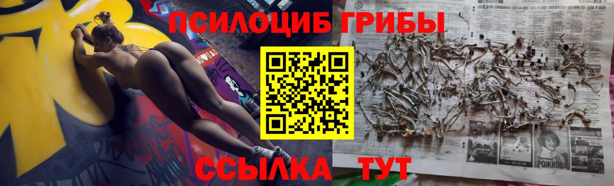 Псилоцибиновые грибы прущие грибы  Вход с VPN  Донецк 