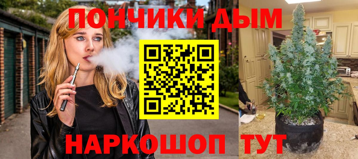 Каннабис White Widow  Бошки марихуана сатива  Каннабис планчик  Вход с VPN  Конопля семена  Донецк 